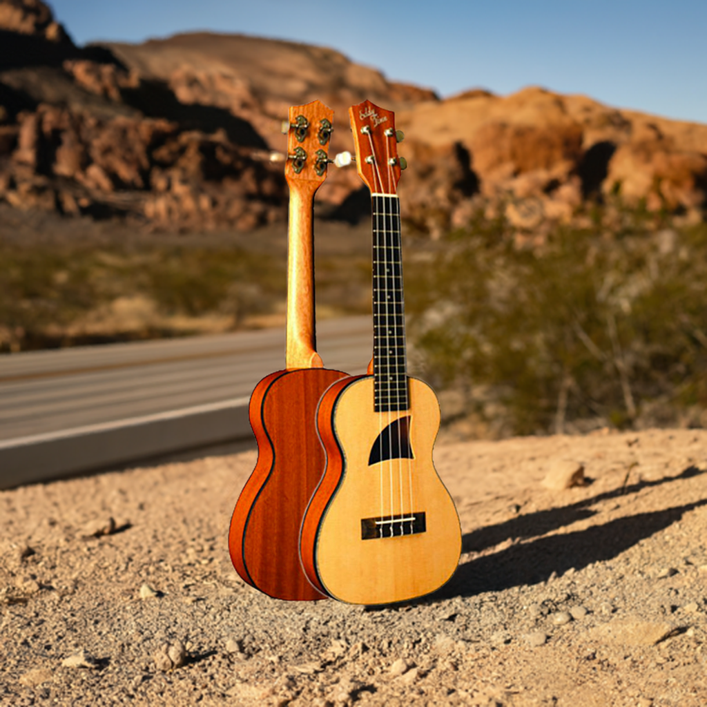 Eddy Finn Concert Uke – Travel-Uke