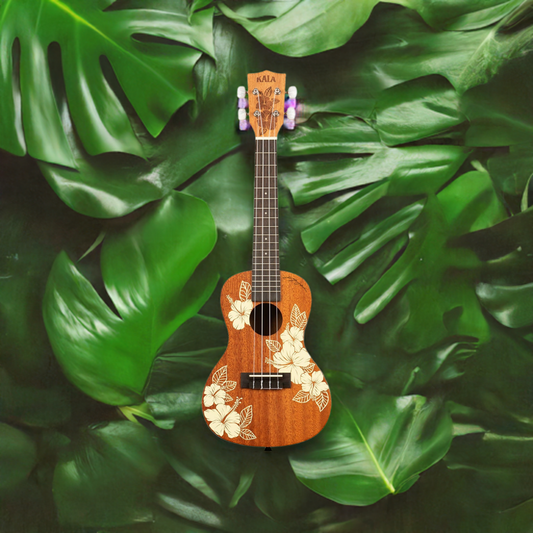 Hibiscus Mahogany Concert Ukulele