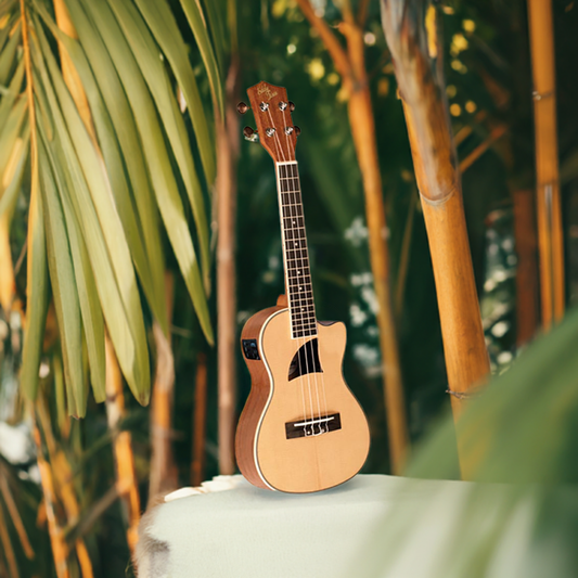 Eddy Finn Tenor Uke – Spruce Electric