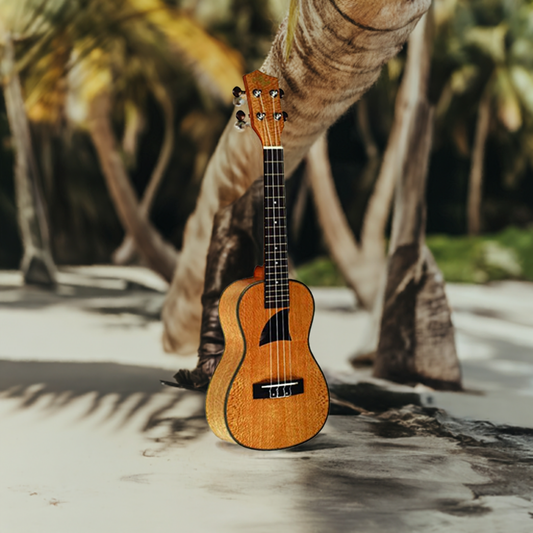 Eddy Finn Concert Uke – Lacewood - True Beauty